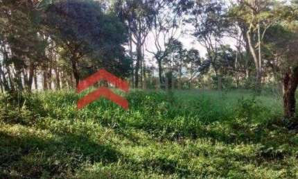 Terreno comercial para alugar na da Bonanza, 1500, Capela de São Pedro, Vargem Grande Paulista por R$ 12.000