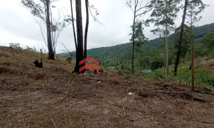Terreno à venda na Vereador Araçary Leite Cavalcanti, 4, Caete (Mailasqui), São Roque por R$ 220.000