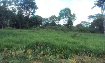 Terreno à venda na Via De Acesso Ao Icaivera, Icaivera, Contagem