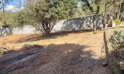 EXCELENTE LOTE, MURADO, PÉS DE FRUTA, ÓTIMA VIZINHANÇA