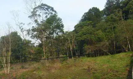 TERRENO no ANITA GARIBALDI com 0 quartos para VENDA, 1260 m²