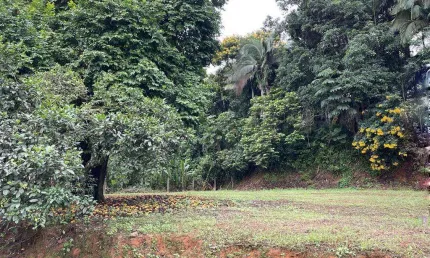 TERRENO no COSTA E SILVA com 0 quartos para VENDA, 1056 m²