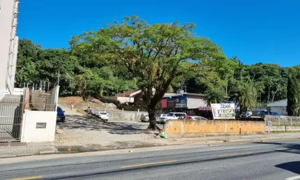 TERRENO no ANITA GARIBALDI com 0 quartos para LOCAÇÃO, 2059 m²