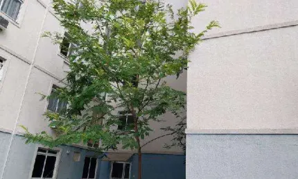Oportunidade Única em MESQUITA - RJ | Tipo: Apartamento | Negociação: Venda Direta Online  | Situação: Imóvel