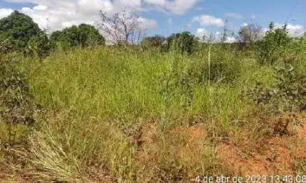 Oportunidade Única em LUZIANIA - GO | Tipo: Terreno | Negociação: Venda Direta Online  | Situação: Imóvel