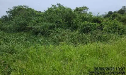 Oportunidade Única em GUAPIMIRIM - RJ | Tipo: Terreno | Negociação: Venda Direta Online  | Situação: Imóvel