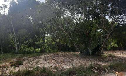 Oportunidade Única em IGUABA GRANDE - RJ | Tipo: Terreno | Negociação: Venda Direta Online  | Situação: Imóvel