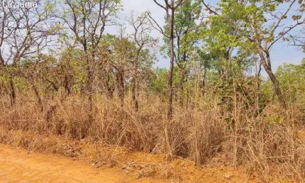 Oportunidade Única em LUZIANIA - GO | Tipo: Terreno | Negociação: Venda Direta Online  | Situação: Imóvel