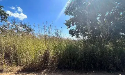 Oportunidade Única em LUZIANIA - GO | Tipo: Terreno | Negociação: Venda Direta Online  | Situação: Imóvel