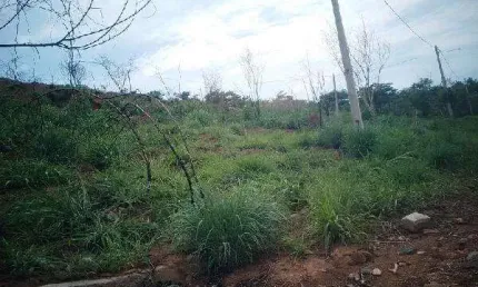 Oportunidade Única em TRINDADE - GO | Tipo: Terreno | Negociação: Venda Direta Online  | Situação: Imóvel
