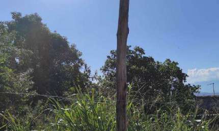 Oportunidade Única em SAO GONCALO - RJ | Tipo: Terreno | Negociação: Venda Direta Online  | Situação: Imóvel