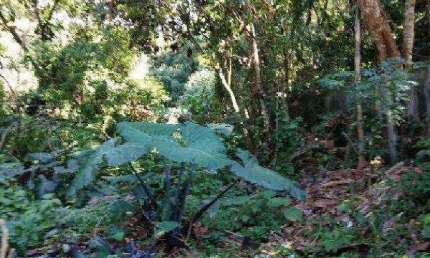 Oportunidade Única em COTIA - SP | Tipo: Terreno | Negociação: Leilão  | Situação: Imóvel