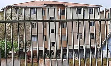 Oportunidade Única em CURITIBA - PR | Tipo: Apartamento | Negociação: Licitação Aberta  | Situação: Imóvel