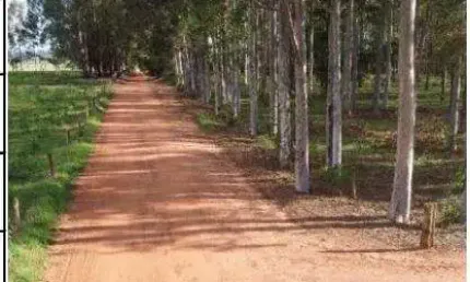 Oportunidade única em cianorte - pr | tipo: gleba | negociação: licitação aberta  | situação: imóvel