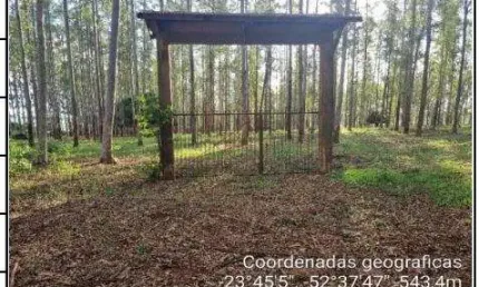 Oportunidade Única em CIANORTE - PR | Tipo: Gleba | Negociação: Leilão  | Situação: Imóvel