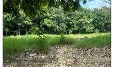 Oportunidade Única em BOITUVA - SP | Tipo: Terreno | Negociação: Leilão  | Situação: Imóvel