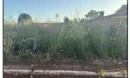 Oportunidade Única em JATAI - GO | Tipo: Casa | Negociação: Leilão  | Situação: Imóvel
