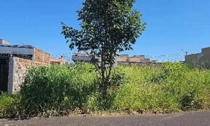 Oportunidade única em bady bassitt - sp | tipo: terreno | negociação: leilão  | situação: imóvel