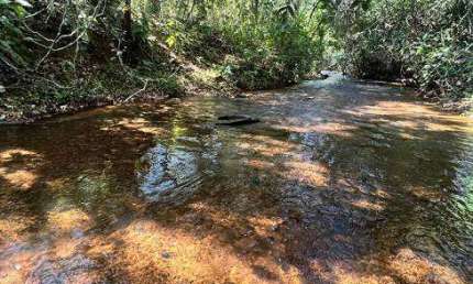 Chácara de 12 Ha com documentação - Com Rio - Região da Água Fria - Chapada dos Guimarães