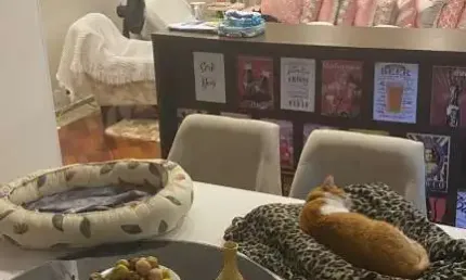 Apartamento com 3 quartos à venda na Avenida Paes de Barros, 701, Mooca, São Paulo