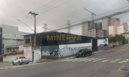 Galpão / Depósito / Armazém - Vila Guilhermina  -  São Paulo