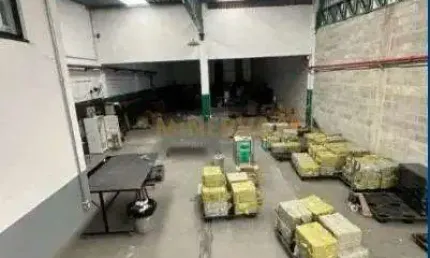 Barracão / Galpão / Depósito para alugar na Rua Dr. Pelágio Marques, Vila Matilde, São Paulo