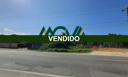 Terreno está situado em frente ao asfalto - Avenida Sai Mirim ( RUA 370)