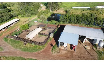 Ótima Fazenda 212 hectares para Leite e corte em BROTAS - SP - PORTEIRA FECHADA