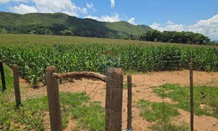Sitio com 45 hectares na Serra da Canastra - Delfinópolis MG