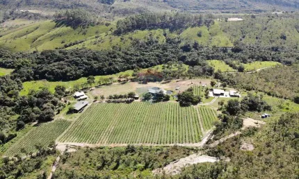 Vinícola Exclusiva à Venda na Serra da Canastra – Uma Joia Rara para Investidores e Amantes do Enoturismo!