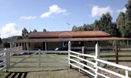 Sítio com Alto Potencial para Turismo Rural e Produção de Café – Oportunidade Rara!