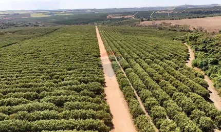 Fazenda são sebastião - produção de laranja e infraestrutura completa na região de franca/sp