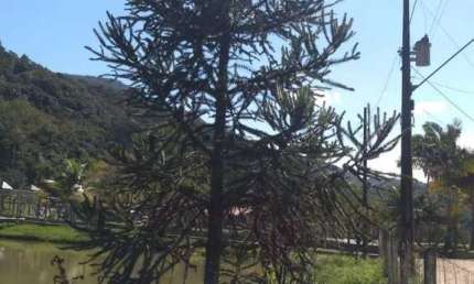 Chácara / sítio com 3 quartos à venda na Área Rural de Itajaí, Itajaí 