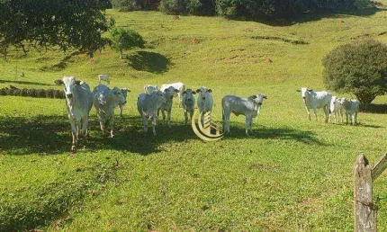 Fazenda com 4 dormitórios à venda, 1064800 m² por R$ 2.800.000,00 - Macuco - Taubaté/SP