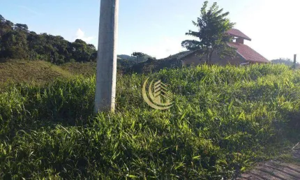 Terreno à venda, 2550 m² por R$ 230.000,00 - Rio Preto - Santo Antônio do Pinhal/SP