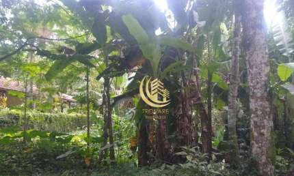 Terreno em condomínio fechado à venda na Praia do Itamambuca, Ubatuba 