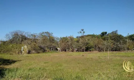 Terreno para alugar, 2895 m² por R$ 1.850,00/mês - Quiririm - Taubaté/SP