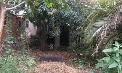 Casa com 3 quartos à venda no Nova Gerty, São Caetano do Sul 