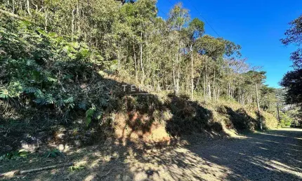 Terreno em condomínio fechado à venda na Estrada José Gomes da Costa Júnior, Posse, Teresópolis