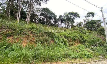 Terreno em condomínio fechado à venda na Rua Ministro Renault Leite, Prata, Teresópolis