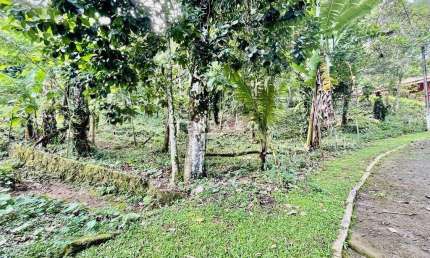 Terreno em condomínio fechado à venda na Estrada do Limoeiro, Limoeiro, Guapimirim