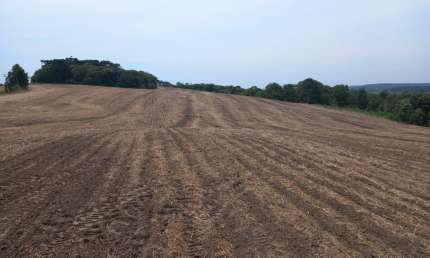 Terreno à venda na Zona Rural, Lapa 