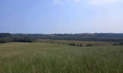Terreno à venda na Avenida Principal, Canoeiros, Lapa