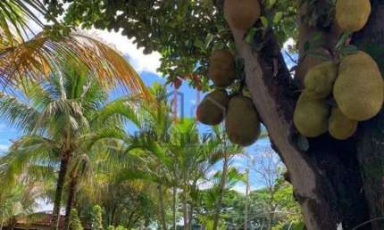 CHÁCARA Á VENDA  CHÁCARAS DE RECREIO 2000  EM HORTOLÂNDIA SP