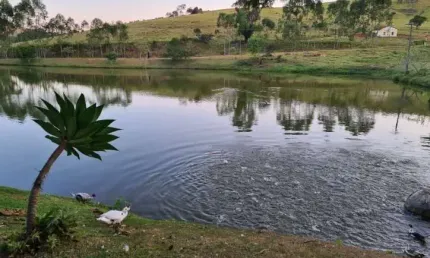 Chácara / sítio com 4 quartos à venda na Rodovia Aldo Bolini, 557, Zona Rural, Piracaia