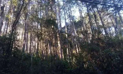 Terreno à venda em Atibaia-SP, bairro Portão, 22.000 m² de área! Confira essa oportunidade incrível!