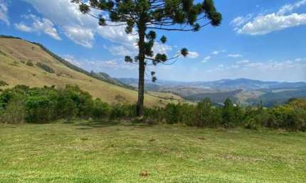 Fantástico Sítio a Venda com 29 Alqueires em Piracaia
