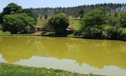 Maravilhosa fazenda à venda na cidade de Piracaia - 21 alqueires de terra