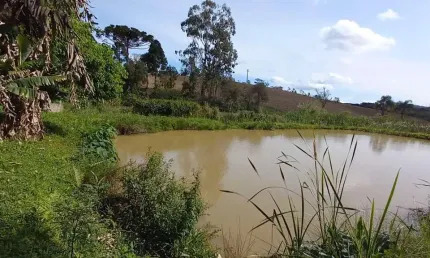 Chácara / sítio à venda na ÁRea Rural De Quitandinha, Zona Rural, Quitandinha