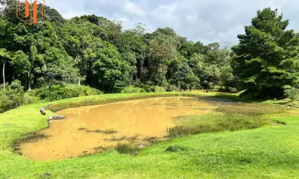 Chácara / sítio à venda na Estrada Rural, Zona Rural, Campo Magro